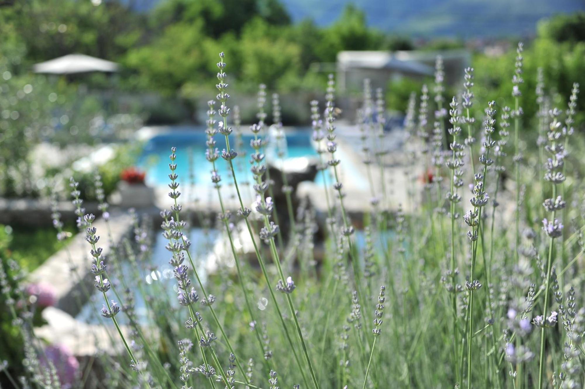 Pool House Maslina Apartment Mostar Exterior foto